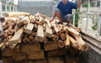 Liên tiếp bắt nhiều vụ vận chuyển gỗ lậu